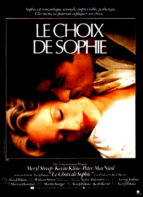 Affiche du film : Le choix de sophie