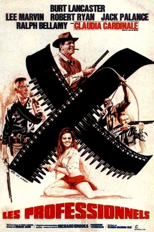 Affiche du film : Les professionnels