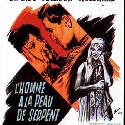 Miniature photo du film : L'homme a la peau de serpent