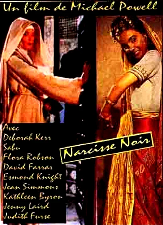 Affiche du film : Le narcisse noir