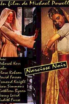 Affiche du film = Le narcisse noir
