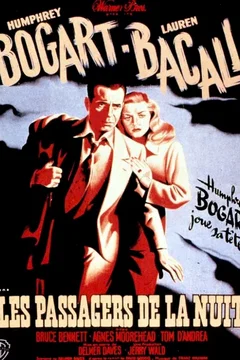 Affiche du film Les passagers de la nuit