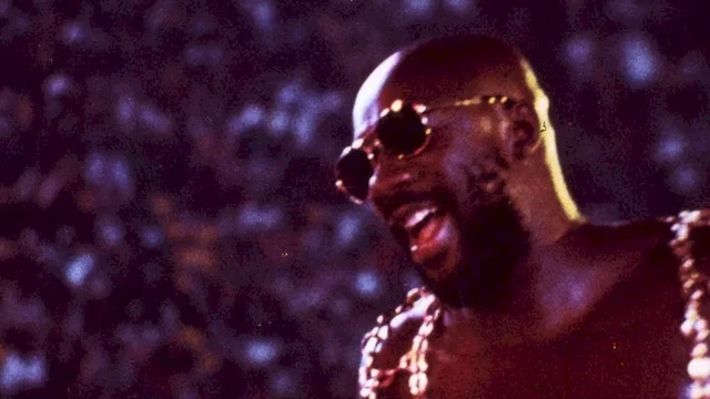Photo du film : Wattstax