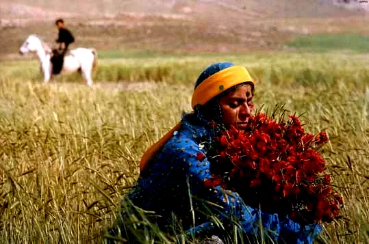 Photo du film : Gabbeh