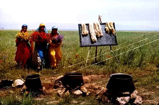 Photo du film : Gabbeh