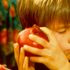 Photo du film : Sokout Le Silence