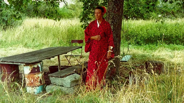 Photo 2 du film : La beaute du monde