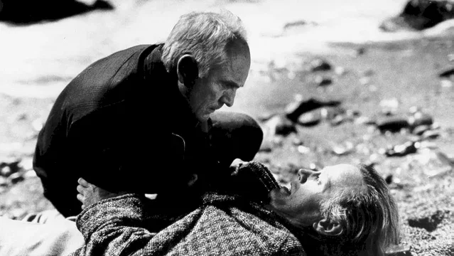 Photo du film : L'anglais