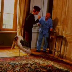 Photo du film : Adieu, plancher des vaches !