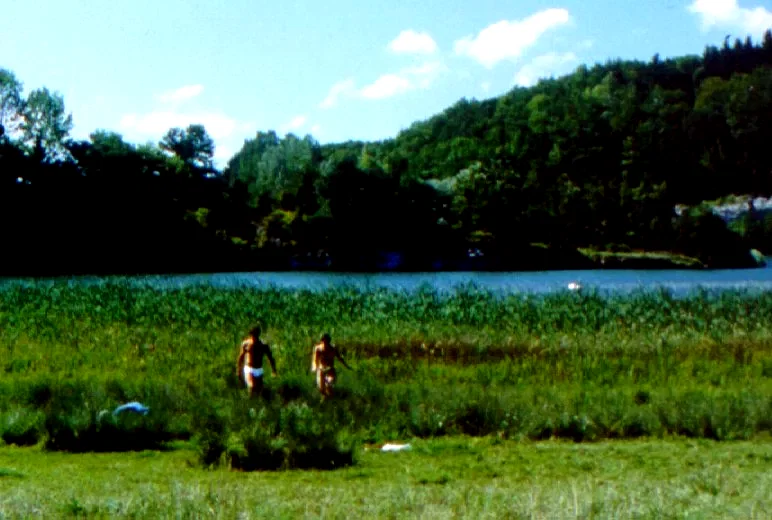 Photo 2 du film : L'arche de noe
