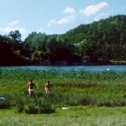 Miniature photo du film : L'arche de noe