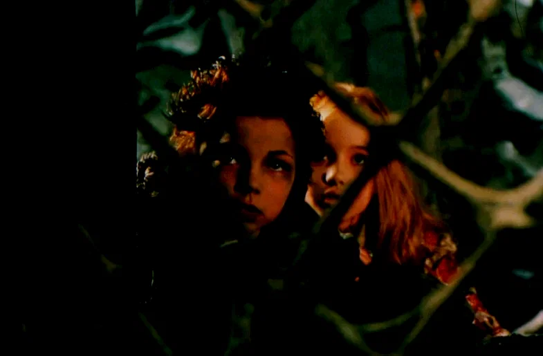 Photo 2 du film : Le petit vampire