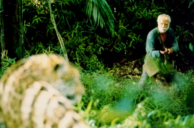 Photo 6 du film : Le vieux qui lisait des romans d'amour