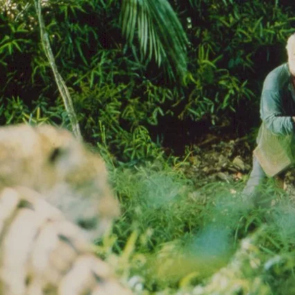 Miniature photo du film : Le vieux qui lisait des romans d'amour