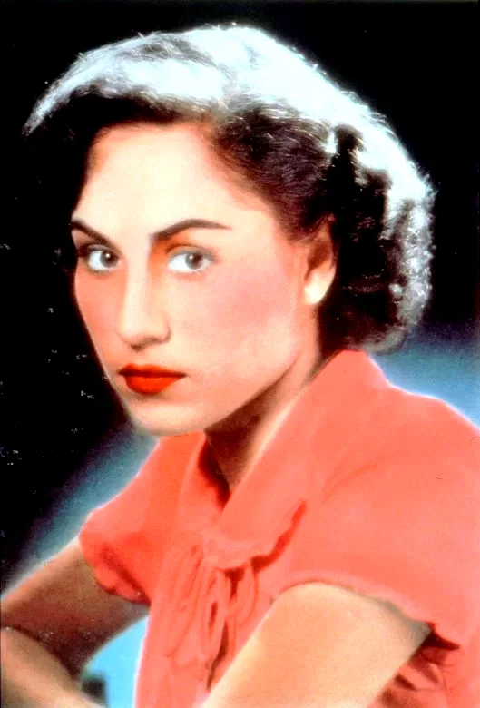 Photo du film : Les larmes du tigre noir