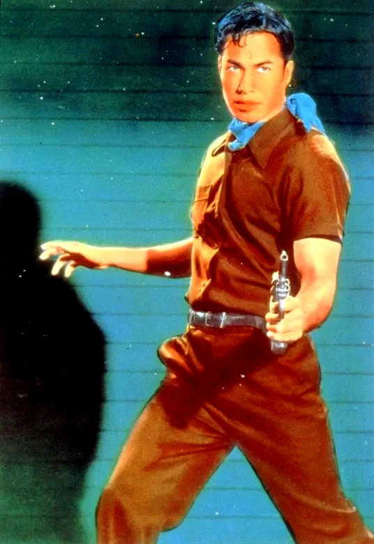 Photo du film : Les larmes du tigre noir