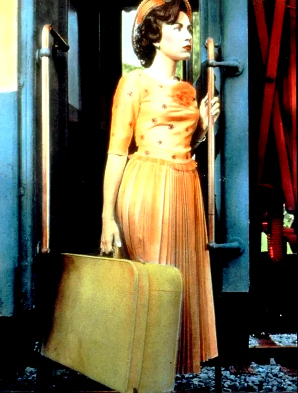Photo du film : Les larmes du tigre noir