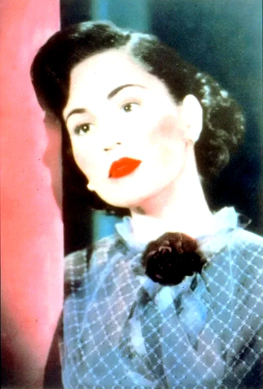 Photo du film : Les larmes du tigre noir