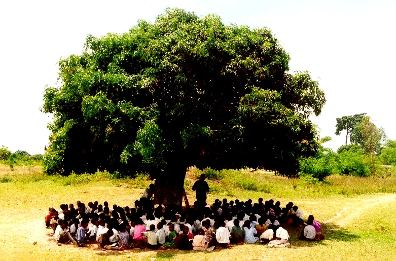 Photo 3 du film : Abc africa