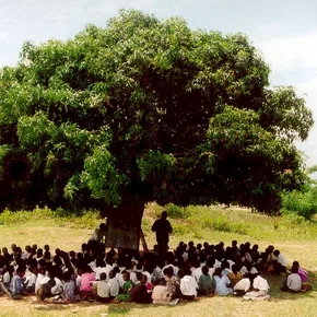 Photo du film : Abc africa
