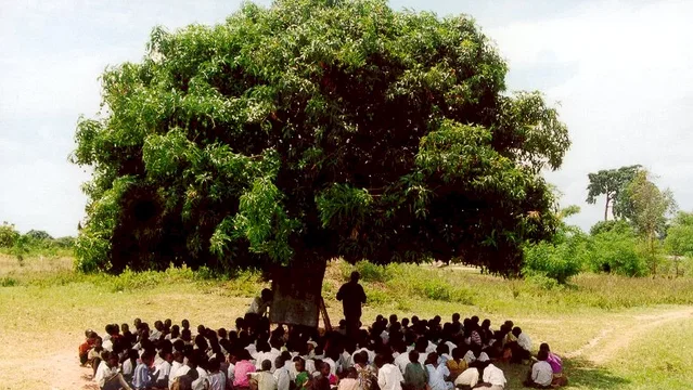 Photo du film : Abc africa