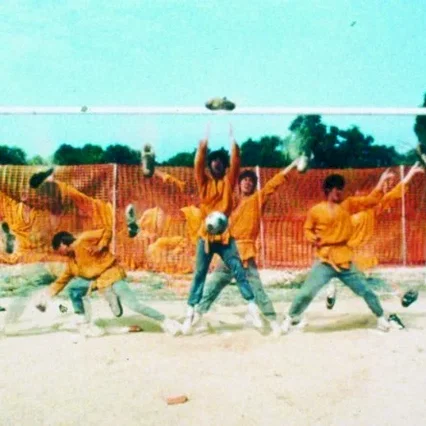 Miniature photo du film : Shaolin soccer