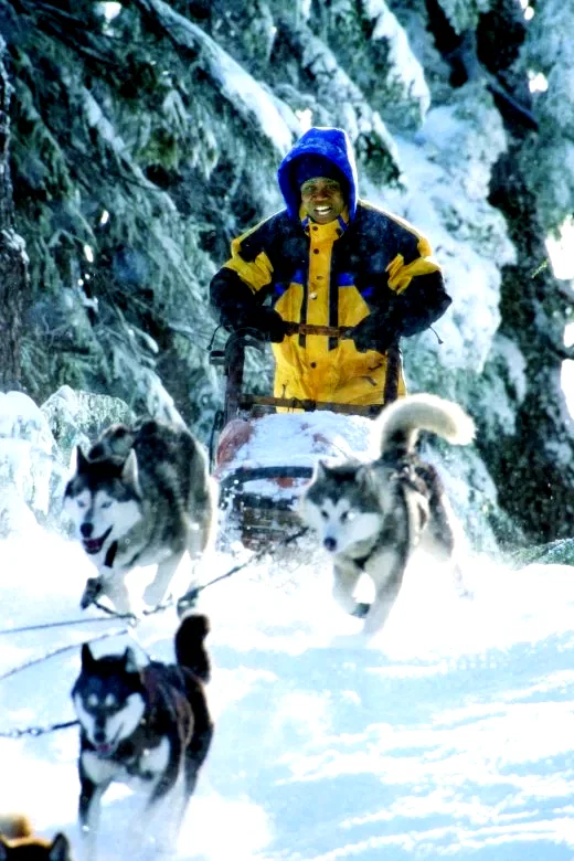 Photo 5 du film : Chiens des neiges
