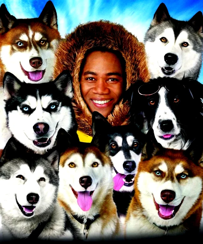 Photo 6 du film : Chiens des neiges