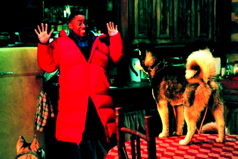 Photo 10 du film : Chiens des neiges