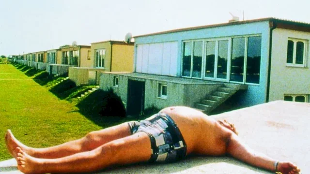 Photo du film : Dog days