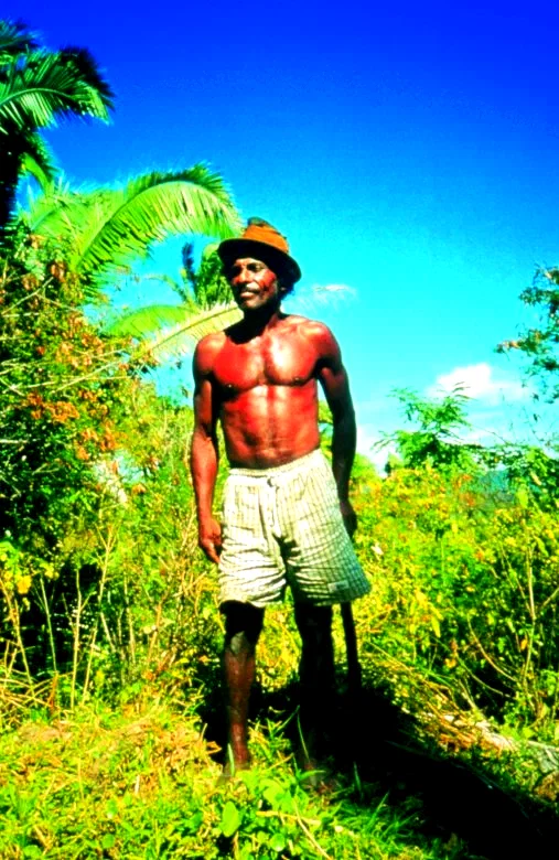 Photo du film : Romances de terre et d'eau