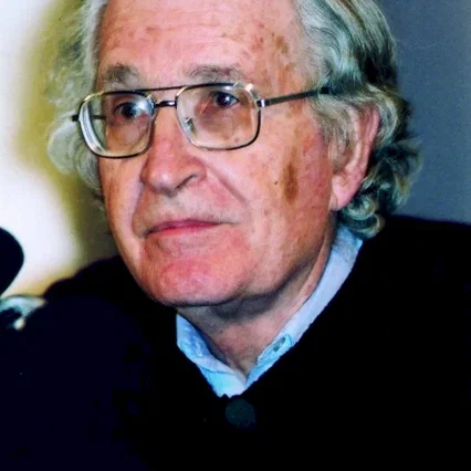 Miniature photo du film : Noam chomsky : pouvoir et terreur