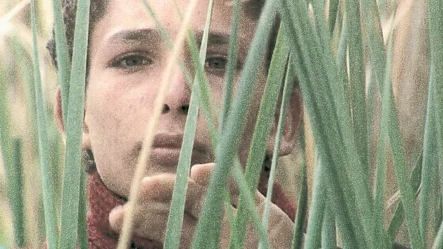 Photo 2 du film : Zaman, l'homme des roseaux