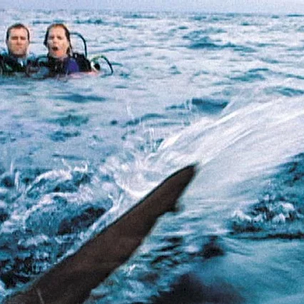 Miniature photo du film : Open water (en eaux profondes)