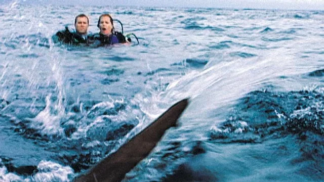 Photo du film : Open water (en eaux profondes)