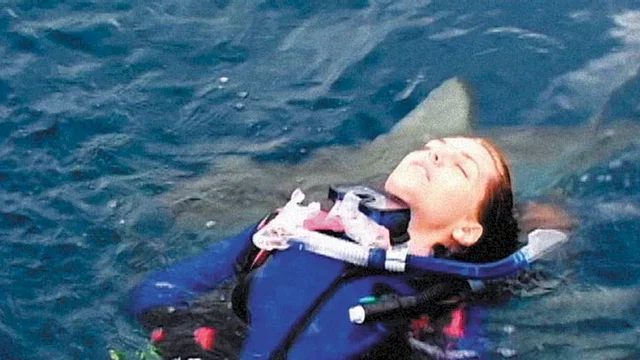 Photo du film : Open water (en eaux profondes)