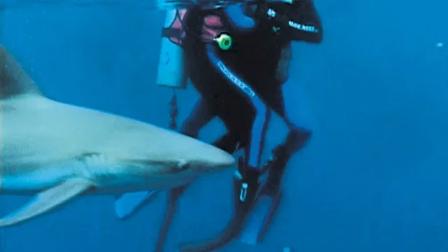 Photo du film : Open water (en eaux profondes)