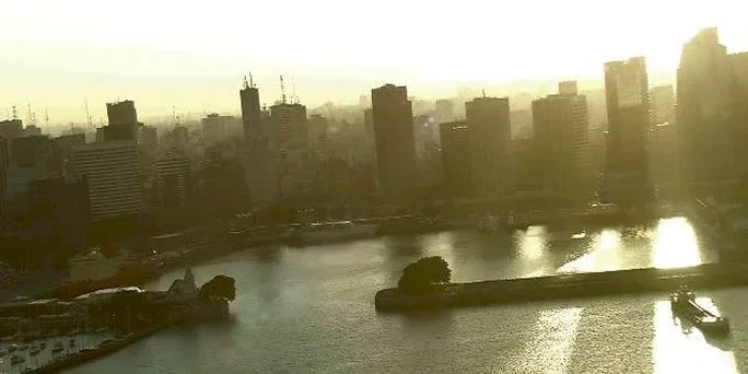 Photo du film : Le bouddha de buenos aires