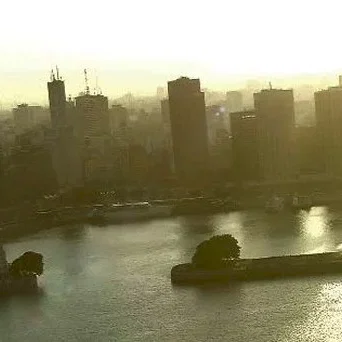 Miniature photo du film : Le bouddha de buenos aires