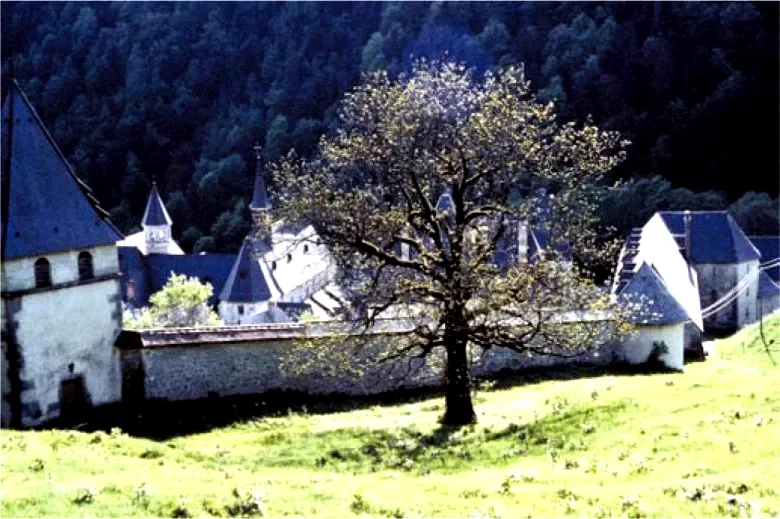 Photo du film : Le grand silence