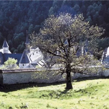 Miniature photo du film : Le grand silence