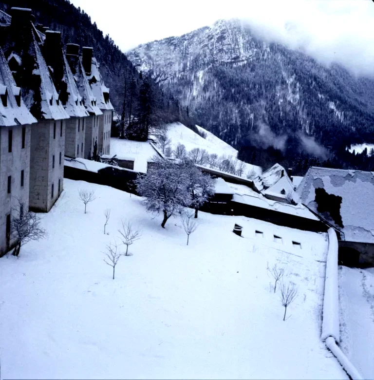 Photo du film : Le grand silence
