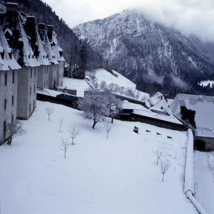 Miniature photo du film : Le grand silence