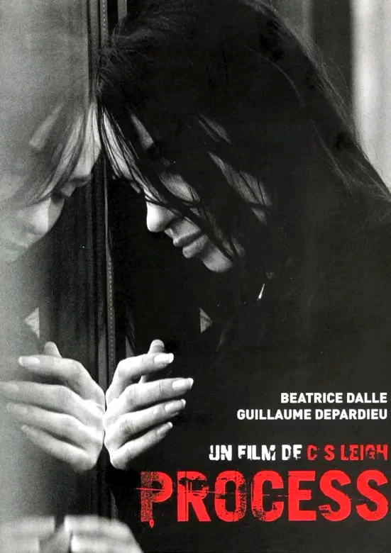 Affiche du film : Process