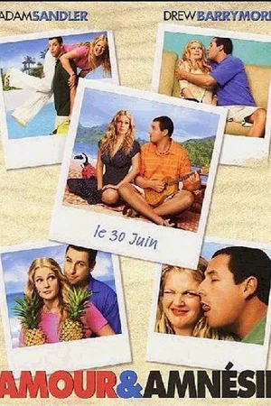 Affiche du film : Amour et amnésie 