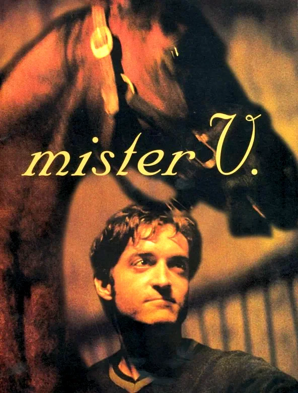 Affiche du film : Mister v.