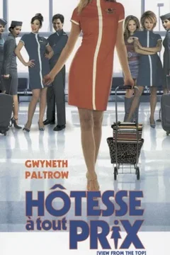 Affiche du film Hôtesse à tout prix