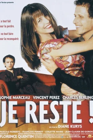 Affiche du film : Je reste !