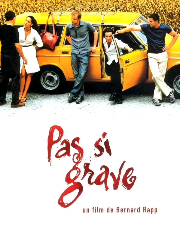 Affiche du film : Pas si grave