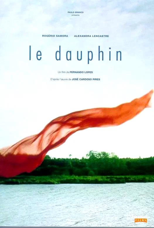 Affiche du film : Le dauphin